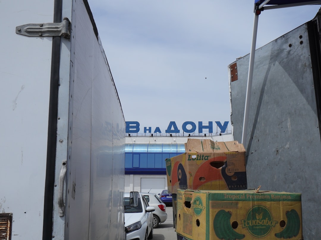 Работа с файловым хранилищем и загрузками в Yii2: от новичка до профи