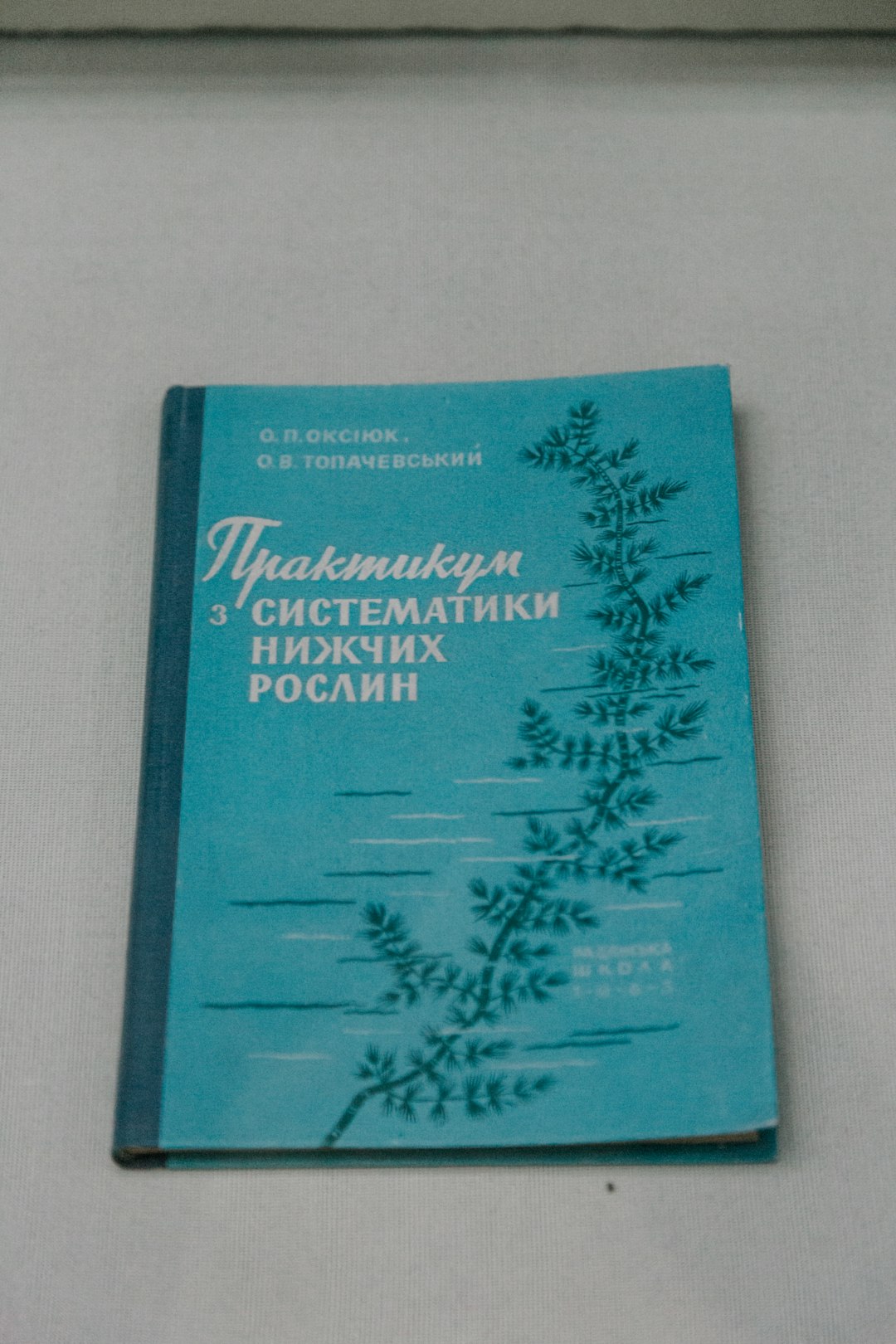 Построение сложных отчетов и графиков в Yii2: от данных до визуализации